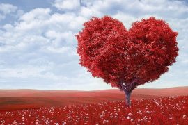 A Nice, Romantic Jewish Holiday – Tu B’Av