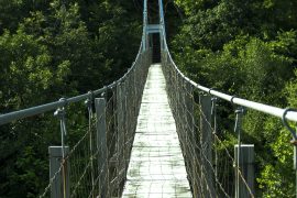 Crossing The Narrow Bridge – A Post-Election Reflection