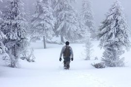 Why We Freeze Up And Forget How To Communicate