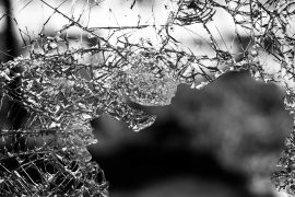 When Does A Gun Become A Vicious Dog?