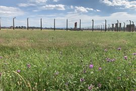 January 27, 1945 – Auschwitz